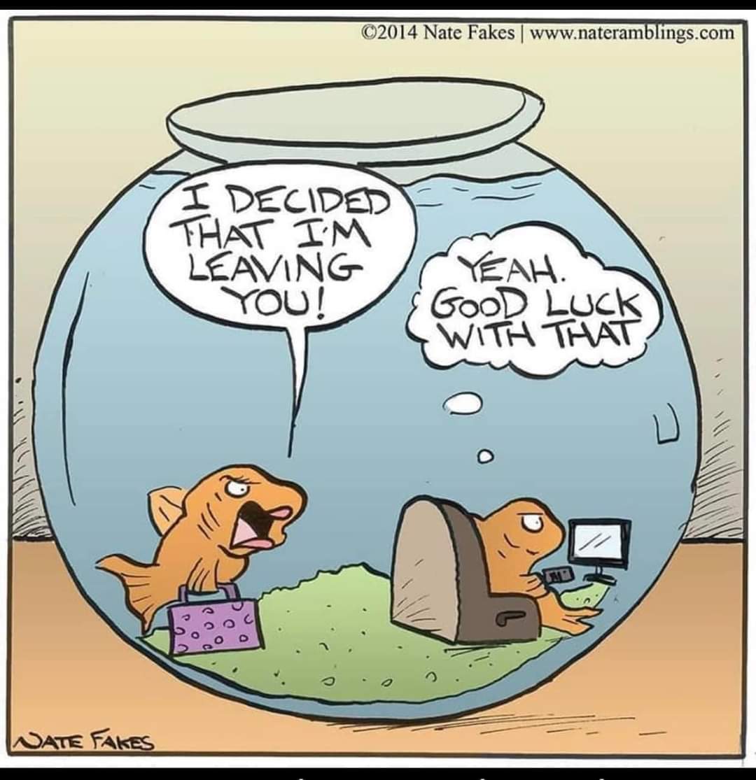 Enjoy this shared meme on HappyTimes, then discover more funny photos and videos.