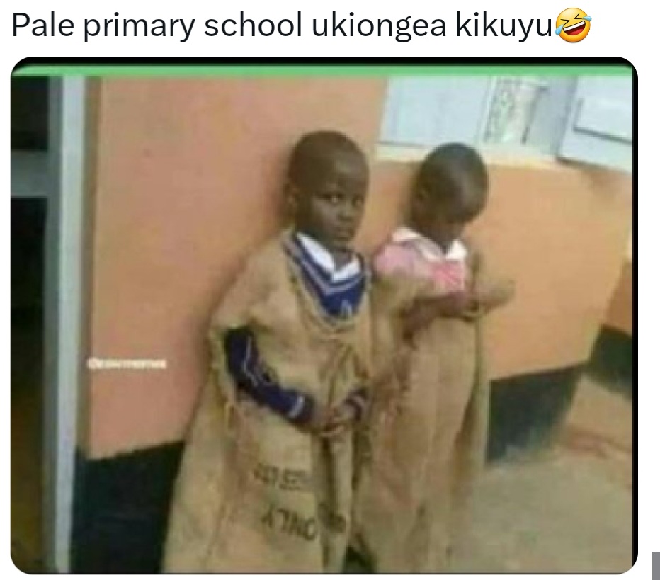 Enjoy this shared meme on HappyTimes, then discover more funny photos and videos.