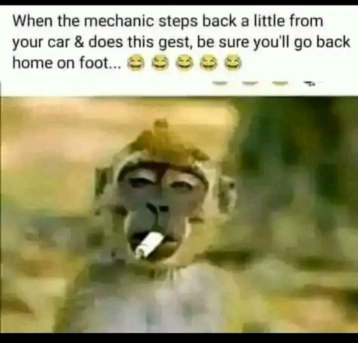 Enjoy this shared meme on HappyTimes, then discover more funny photos and videos.