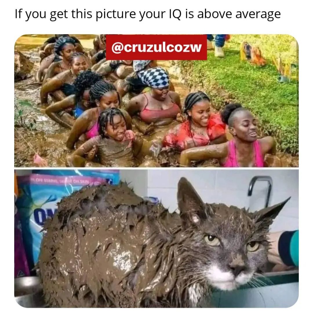 Enjoy this shared meme on HappyTimes, then discover more funny photos and videos.