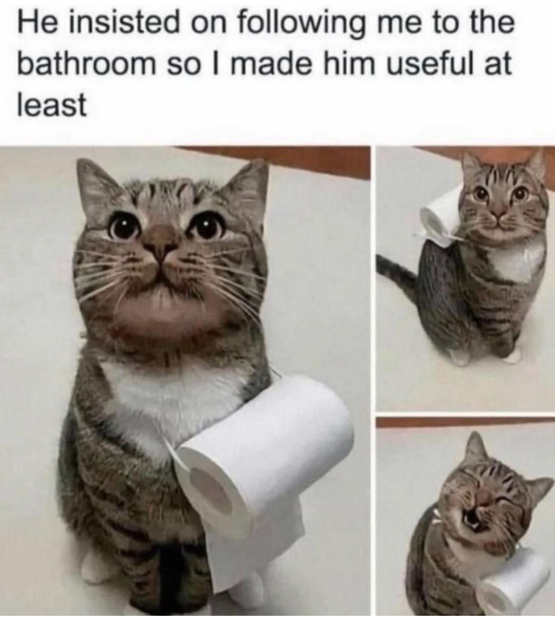 Enjoy this shared meme on HappyTimes, then discover more funny photos and videos.