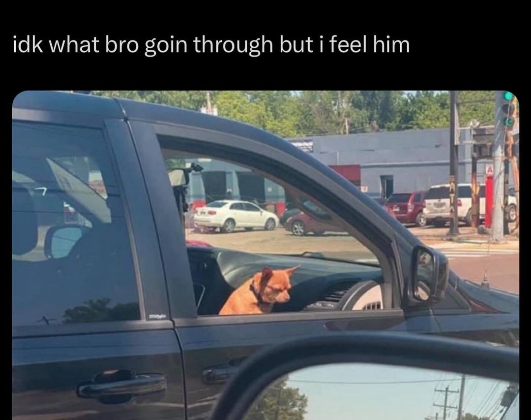 Enjoy this shared meme on HappyTimes, then discover more funny photos and videos.