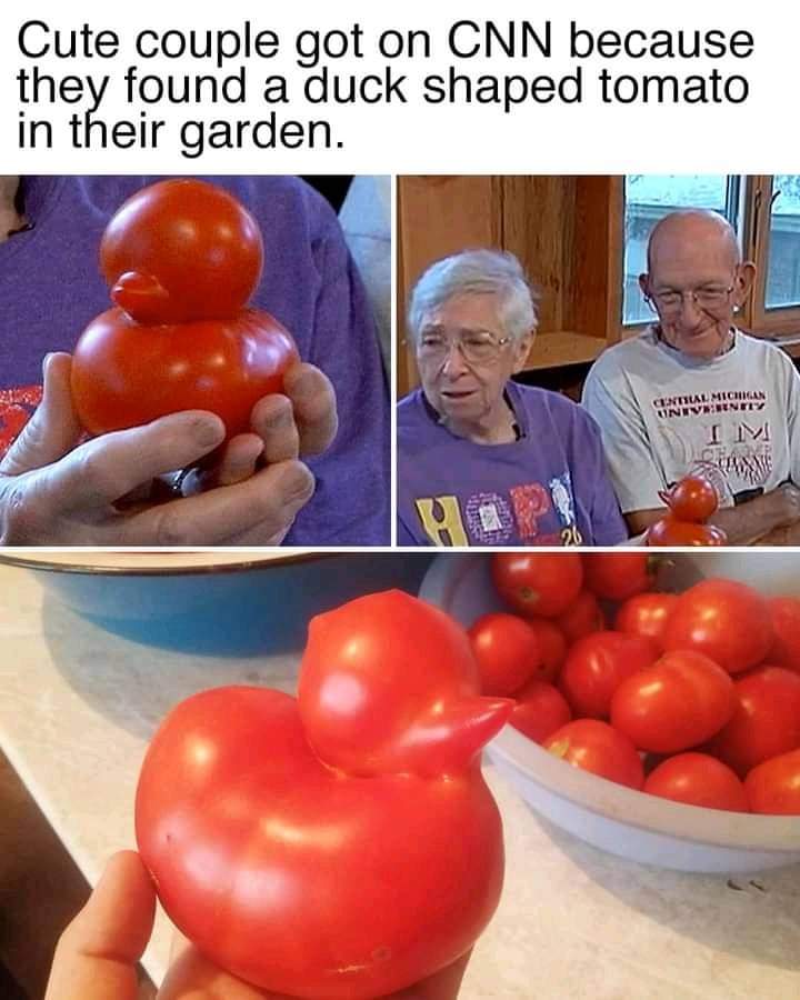 Enjoy this shared meme on HappyTimes, then discover more funny photos and videos.