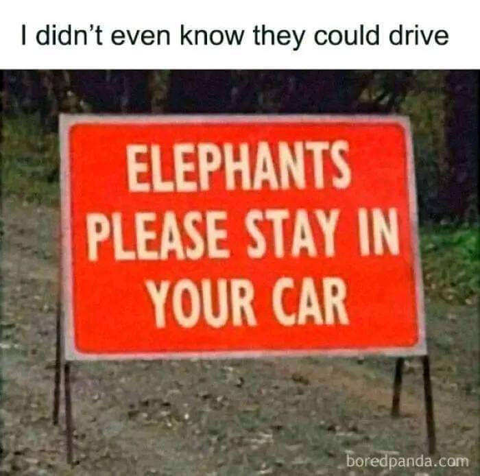 Enjoy this shared meme on HappyTimes, then discover more funny photos and videos.