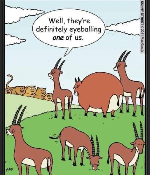 Enjoy this shared meme on HappyTimes, then discover more funny photos and videos.