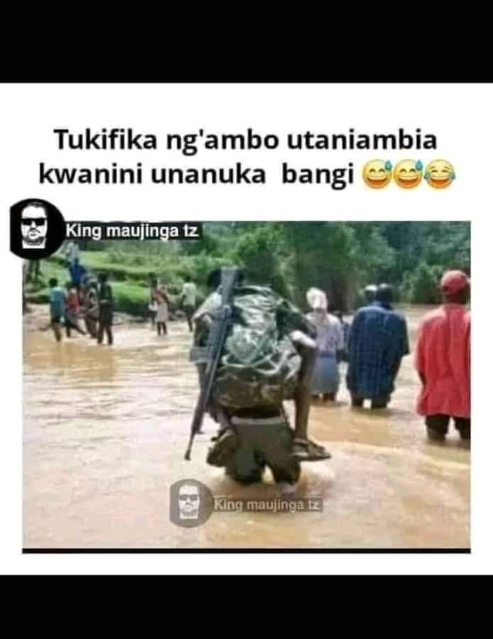 Enjoy this shared meme on HappyTimes, then discover more funny photos and videos.