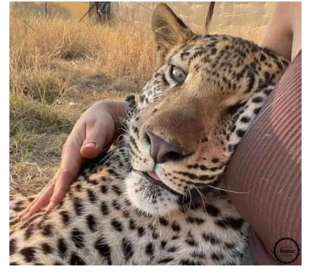 Enjoy this shared meme on HappyTimes, then discover more funny photos and videos.