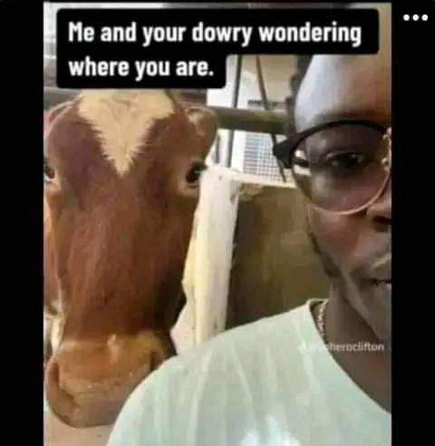 Enjoy this shared meme on HappyTimes, then discover more funny photos and videos.