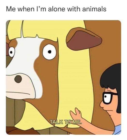 Enjoy this shared meme on HappyTimes, then discover more funny photos and videos.