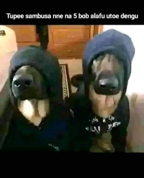 Enjoy this shared meme on HappyTimes, then discover more funny photos and videos.