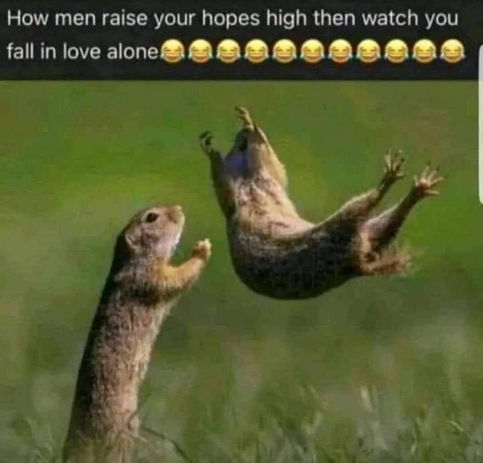 Enjoy this shared meme on HappyTimes, then discover more funny photos and videos.