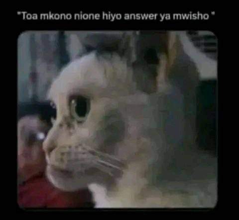 Enjoy this shared meme on HappyTimes, then discover more funny photos and videos.