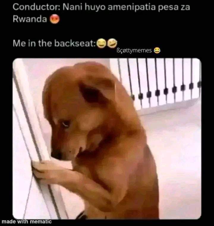 Enjoy this shared meme on HappyTimes, then discover more funny photos and videos.