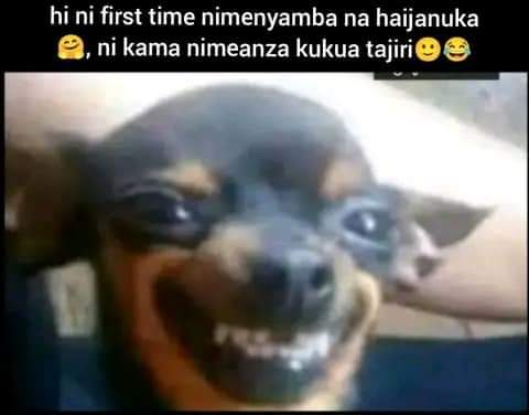Enjoy this shared meme on HappyTimes, then discover more funny photos and videos.