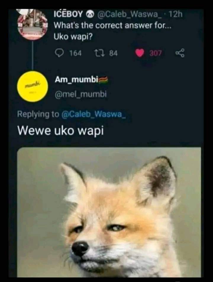 Enjoy this shared meme on HappyTimes, then discover more funny photos and videos.
