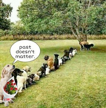 Enjoy this shared meme on HappyTimes, then discover more funny photos and videos.