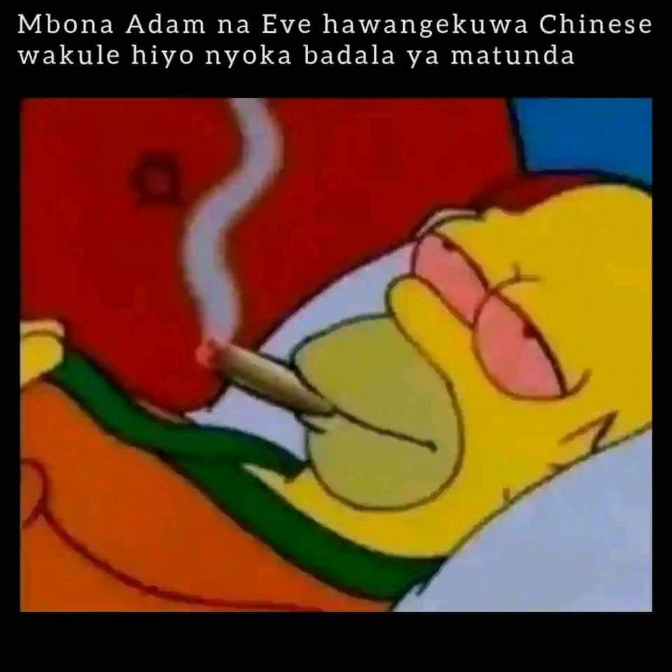 Enjoy this shared meme on HappyTimes, then discover more funny photos and videos.