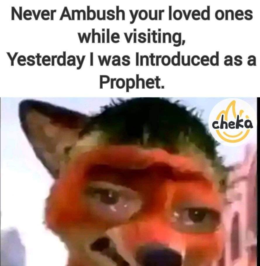Enjoy this shared meme on HappyTimes, then discover more funny photos and videos.
