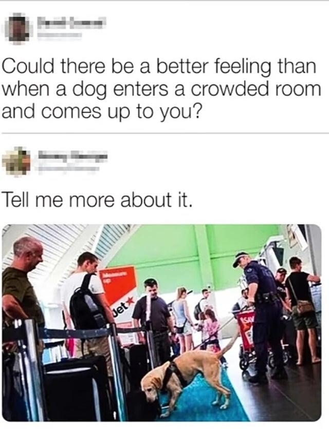 Enjoy this shared meme on HappyTimes, then discover more funny photos and videos.