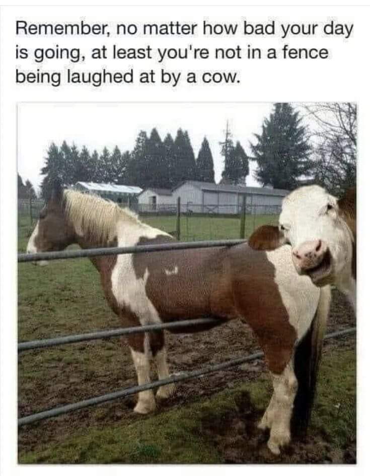 Enjoy this shared meme on HappyTimes, then discover more funny photos and videos.