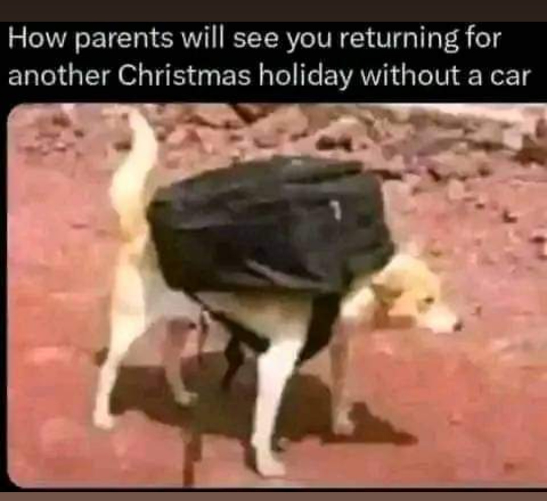 Enjoy this shared meme on HappyTimes, then discover more funny photos and videos.