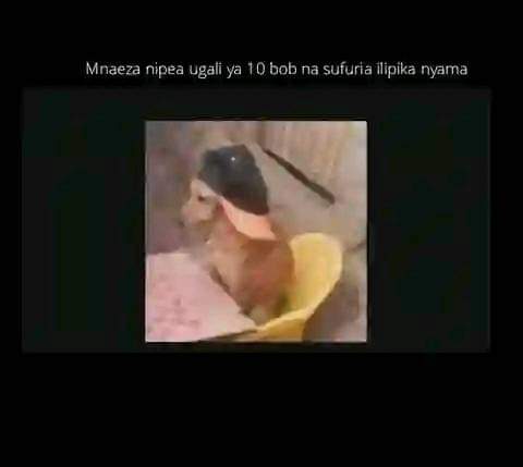 Enjoy this shared meme on HappyTimes, then discover more funny photos and videos.