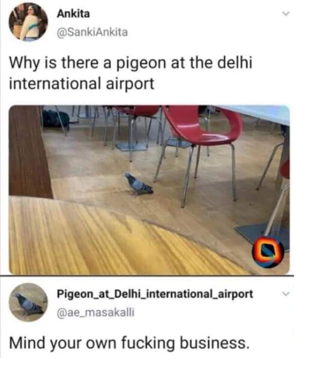 Enjoy this shared meme on HappyTimes, then discover more funny photos and videos.