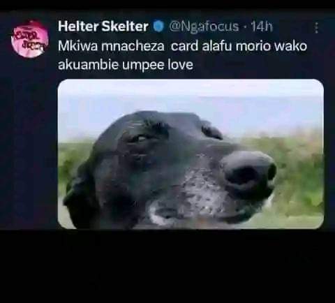 Enjoy this shared meme on HappyTimes, then discover more funny photos and videos.