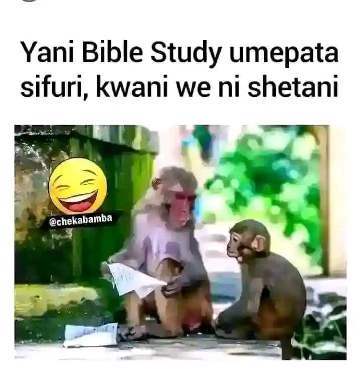 Enjoy this shared meme on HappyTimes, then discover more funny photos and videos.