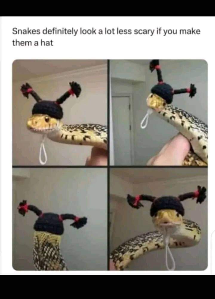 Enjoy this shared meme on HappyTimes, then discover more funny photos and videos.