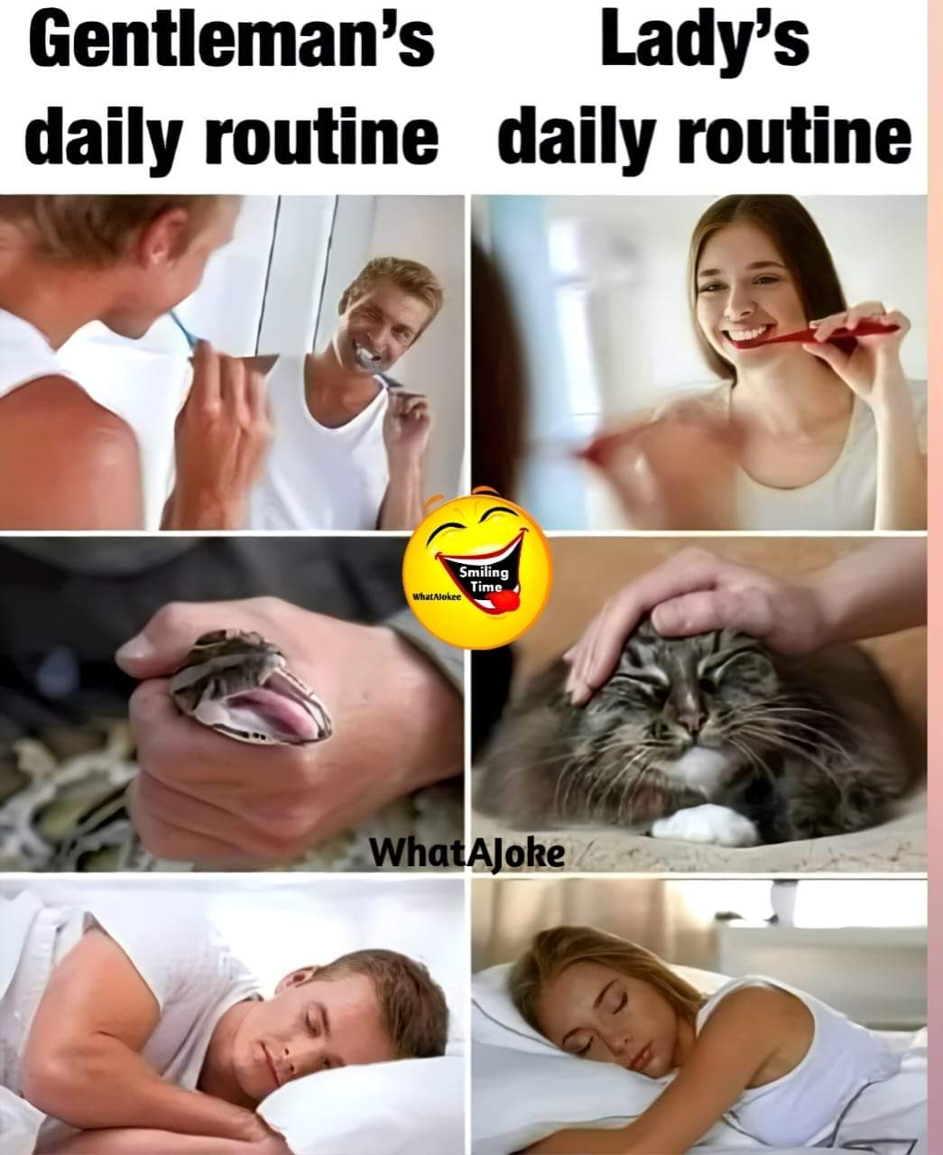 Enjoy this shared meme on HappyTimes, then discover more funny photos and videos.