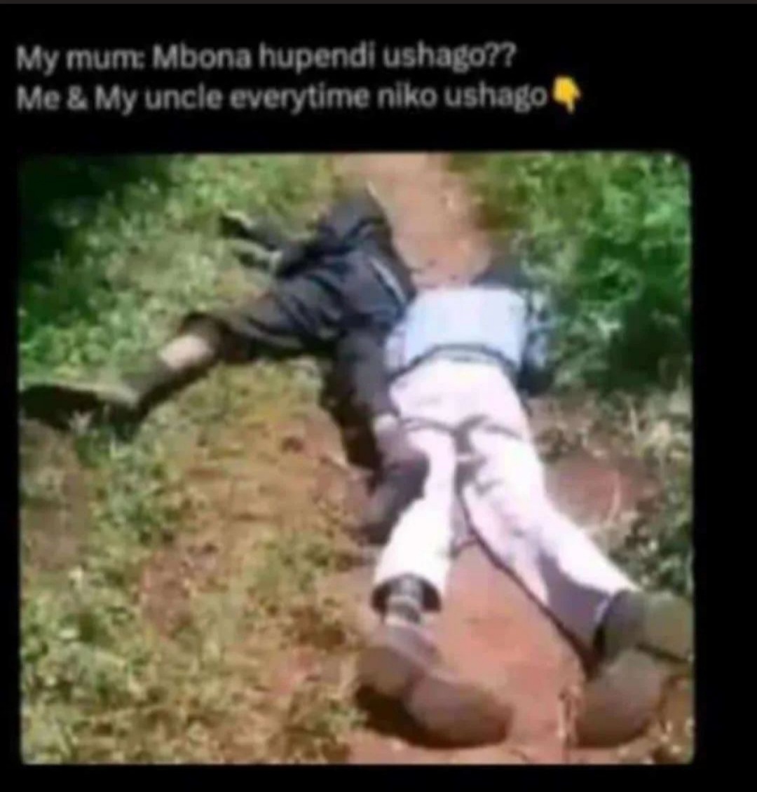 Enjoy this shared meme on HappyTimes, then discover more funny photos and videos.