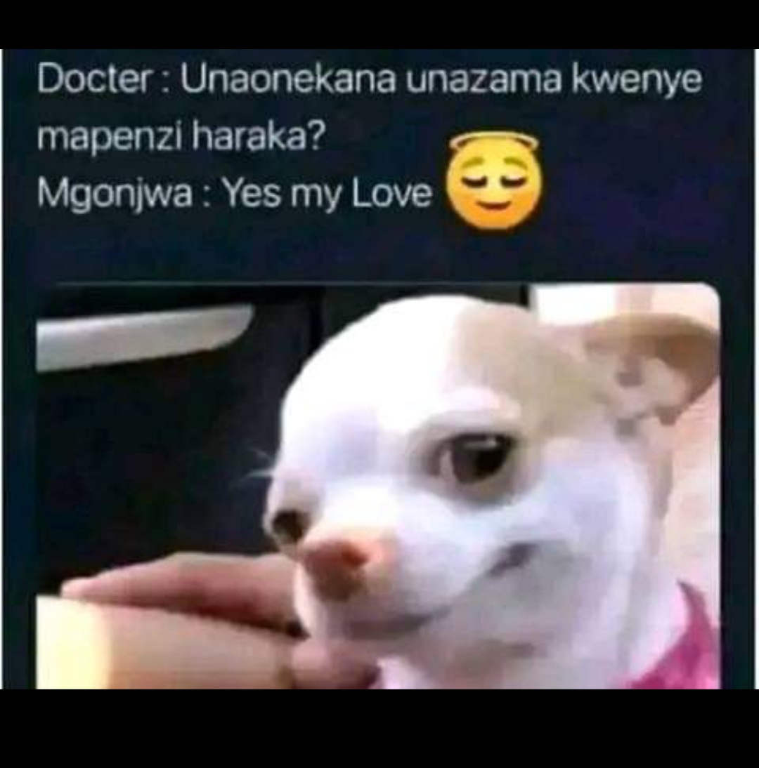 Enjoy this shared meme on HappyTimes, then discover more funny photos and videos.
