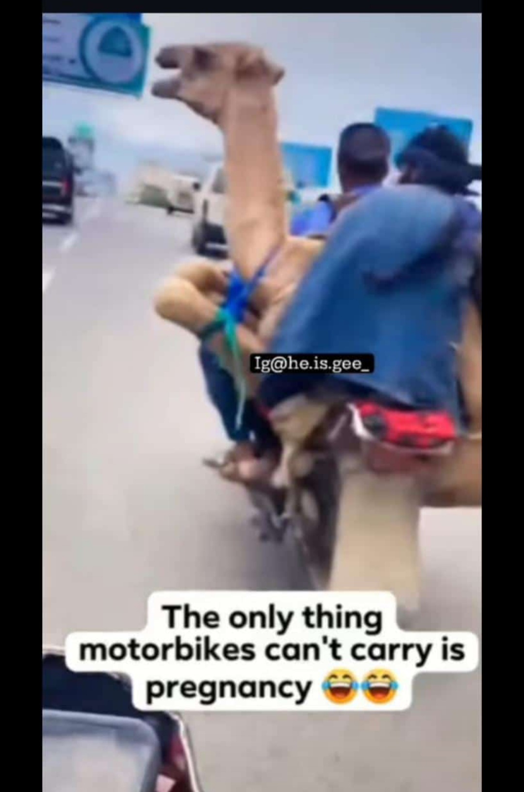 Enjoy this shared meme on HappyTimes, then discover more funny photos and videos.