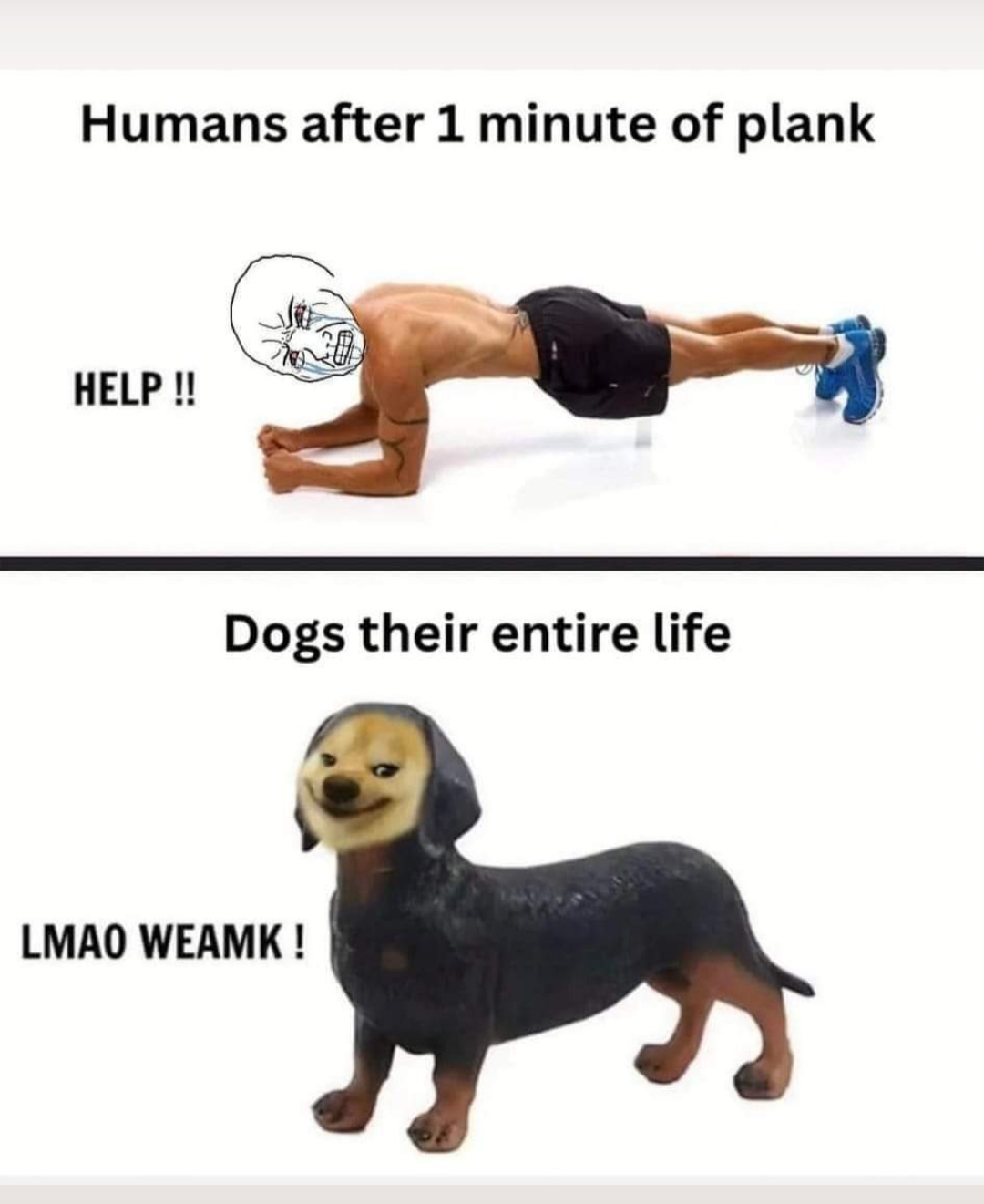 Enjoy this shared meme on HappyTimes, then discover more funny photos and videos.