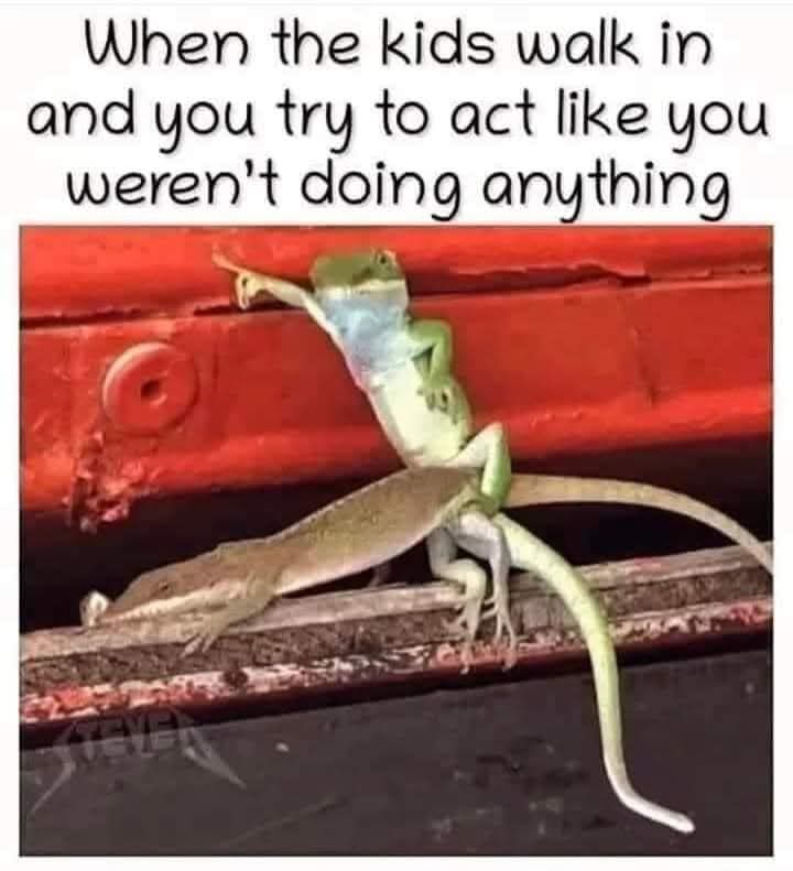 Enjoy this shared meme on HappyTimes, then discover more funny photos and videos.