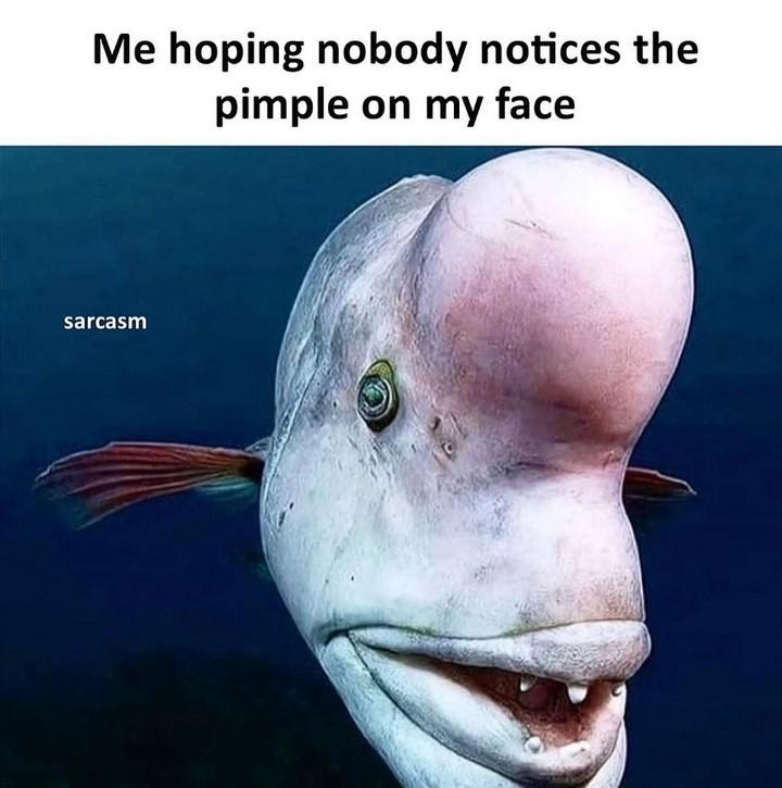 Enjoy this shared meme on HappyTimes, then discover more funny photos and videos.