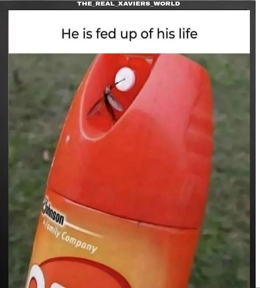 Enjoy this shared meme on HappyTimes, then discover more funny photos and videos.