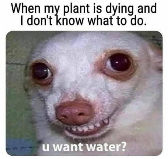 Enjoy this shared meme on HappyTimes, then discover more funny photos and videos.