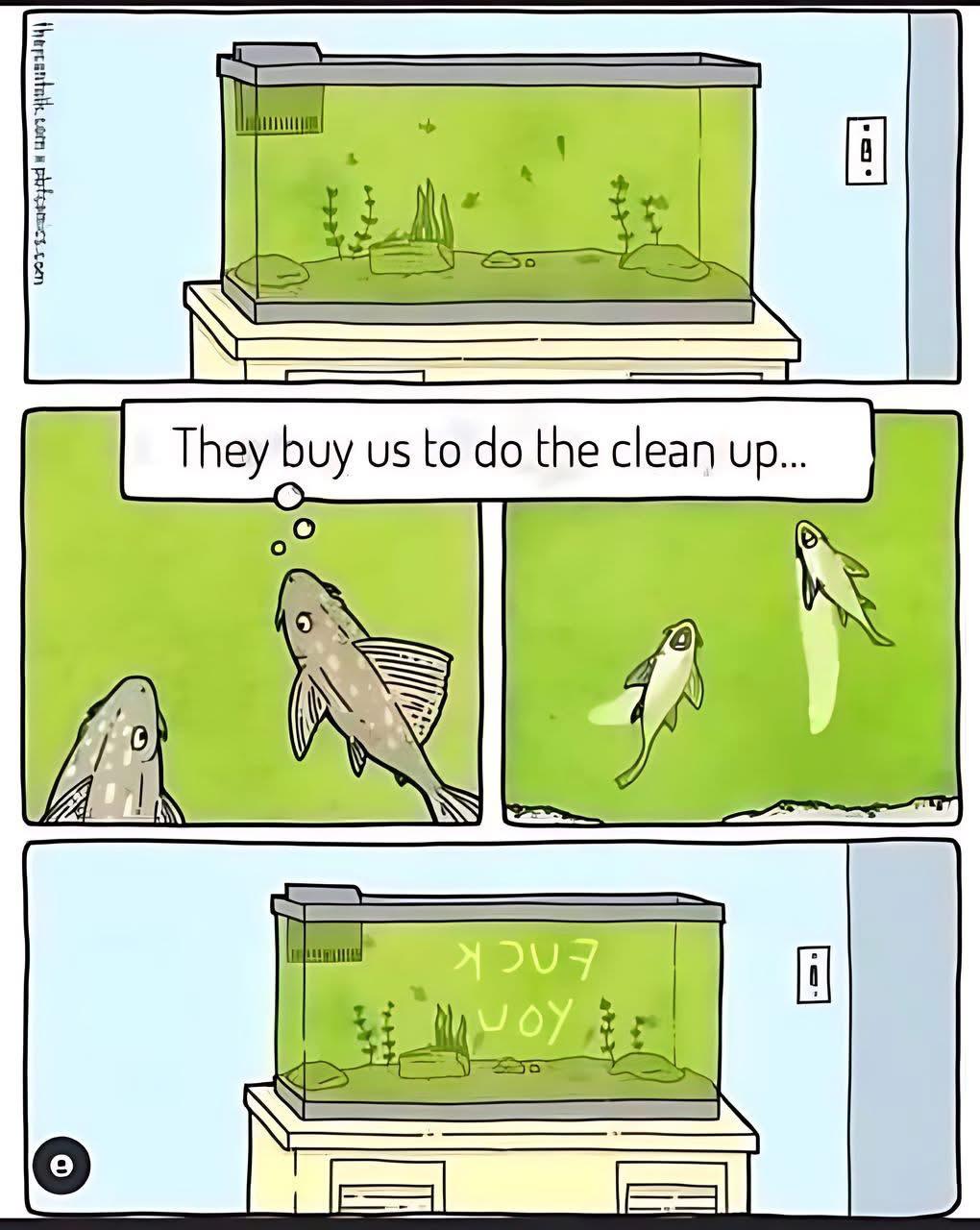 Enjoy this shared meme on HappyTimes, then discover more funny photos and videos.