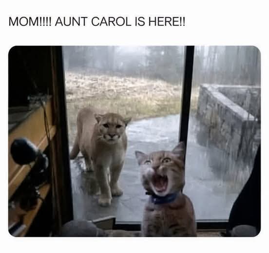 Enjoy this shared meme on HappyTimes, then discover more funny photos and videos.