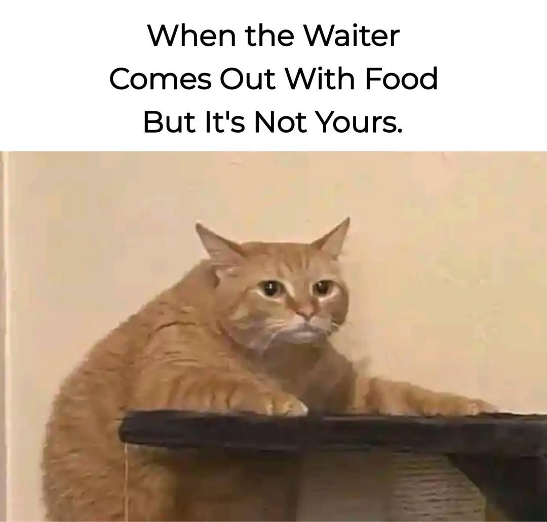 Enjoy this shared meme on HappyTimes, then discover more funny photos and videos.