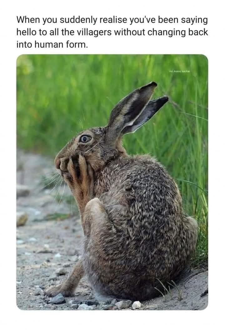 Enjoy this shared meme on HappyTimes, then discover more funny photos and videos.