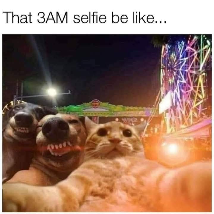 Enjoy this shared meme on HappyTimes, then discover more funny photos and videos.