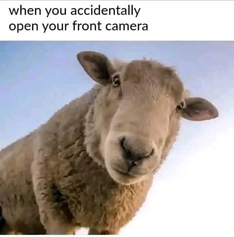 Enjoy this shared meme on HappyTimes, then discover more funny photos and videos.