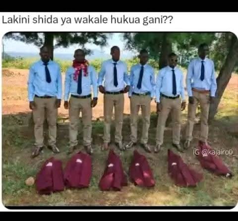 Enjoy this shared meme on HappyTimes, then discover more funny photos and videos.