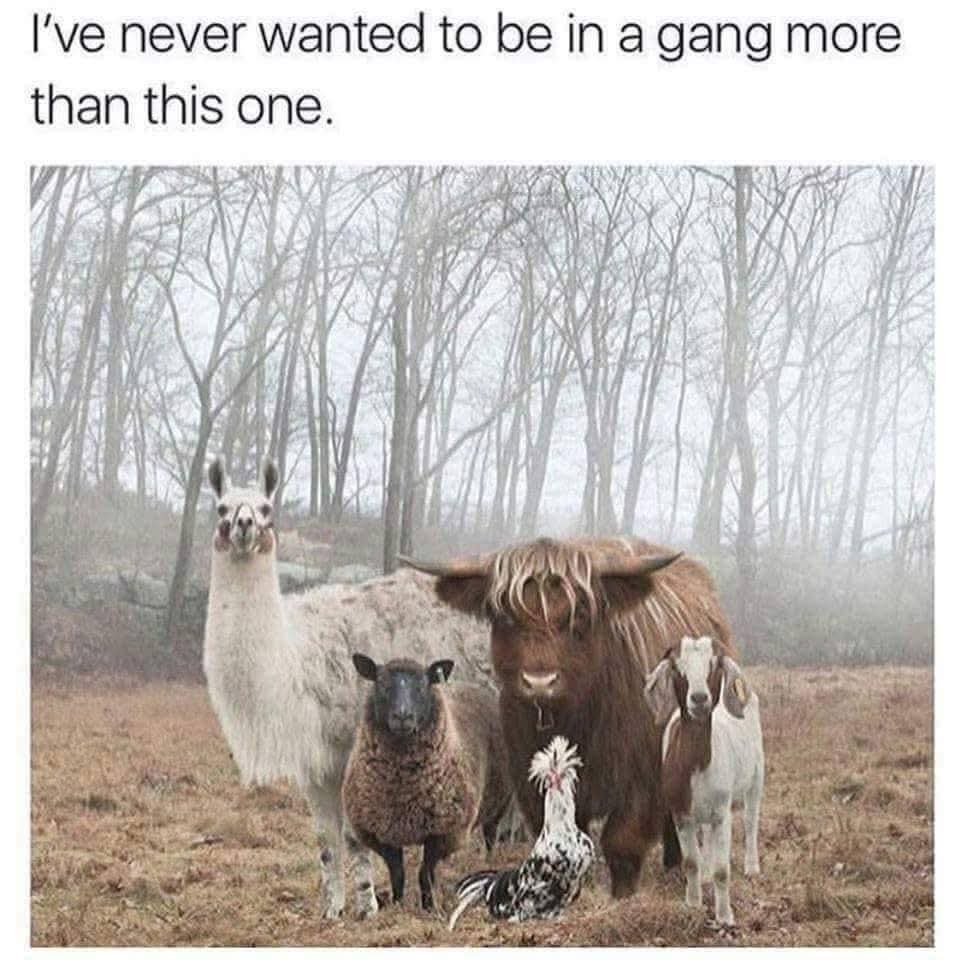Enjoy this shared meme on HappyTimes, then discover more funny photos and videos.