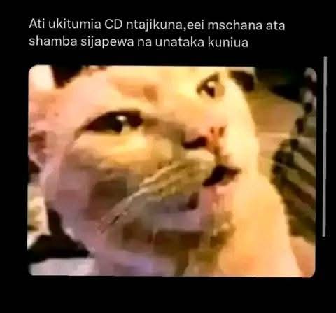 Enjoy this shared meme on HappyTimes, then discover more funny photos and videos.