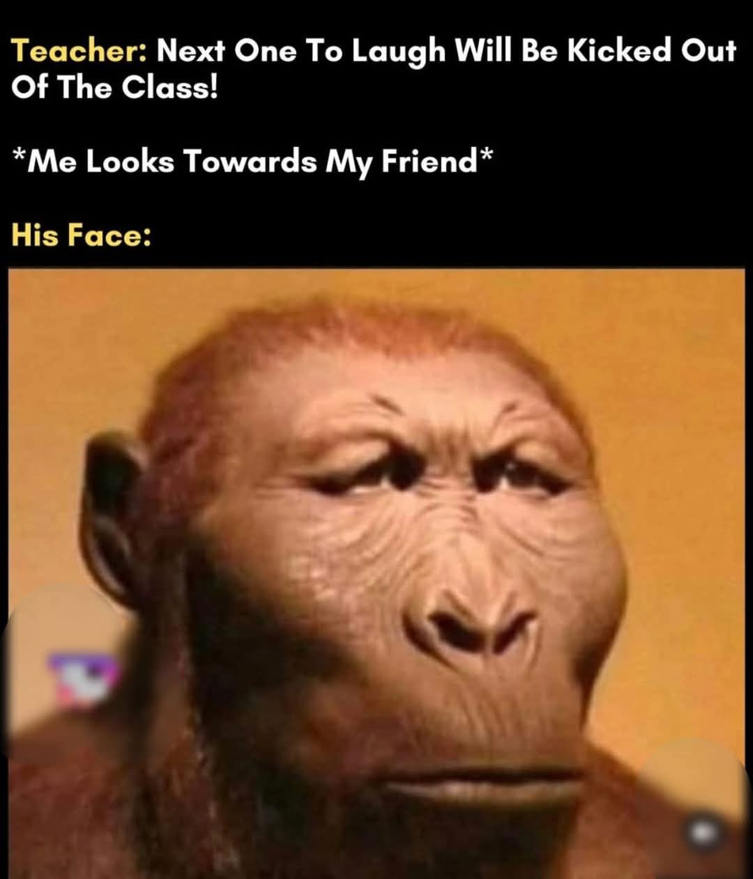 Enjoy this shared meme on HappyTimes, then discover more funny photos and videos.