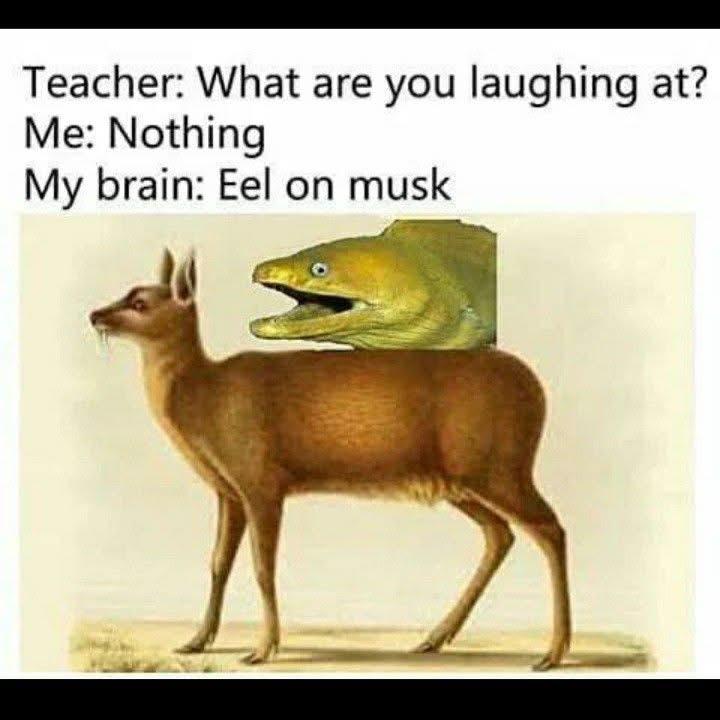 Enjoy this shared meme on HappyTimes, then discover more funny photos and videos.